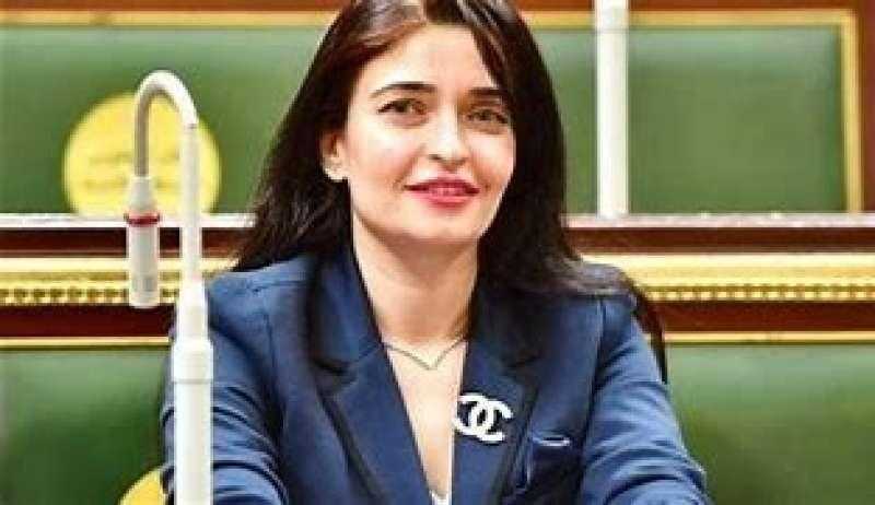 عضو لجنة الصحة بمجلس النواب: نجري مناقشات واقعية هدفها الإصلاح الكلي