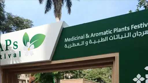 أخبار